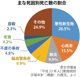 死亡原因（H23）